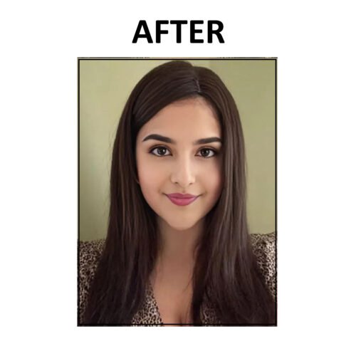 2 Clip Hair Topper Brown