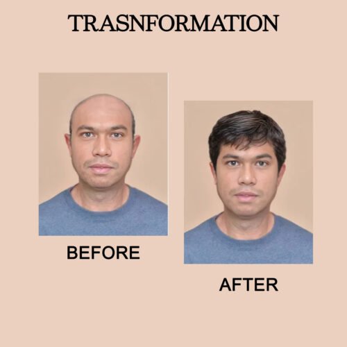 Men Wig Natural Brown