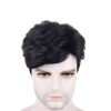 Men Wig Natural Black