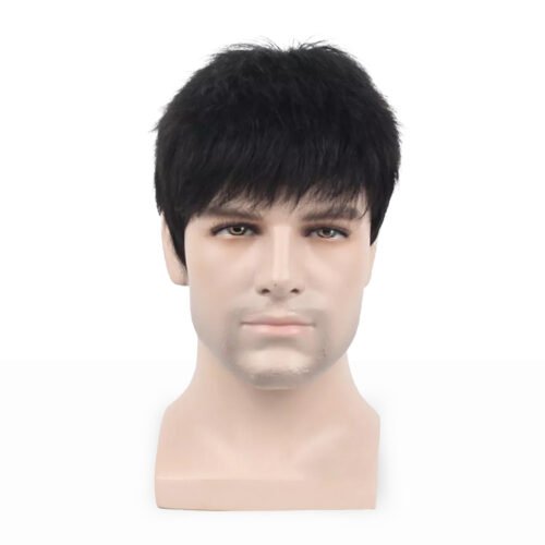 Men Wig New Design