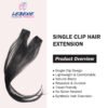 Single Clip-in Extension