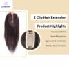 2 Clip Hair Topper Brown