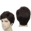 Men Wig Natural Brown